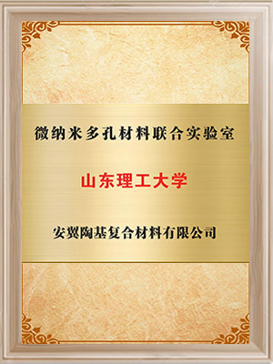 山東理工大學-微納米多孔材料聯合實驗室